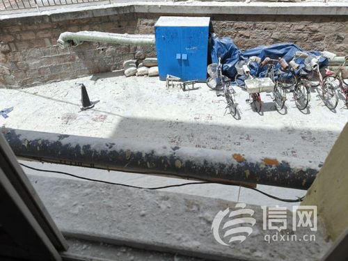 剧组人造雪污染小区 居民生活与食品安全的全方位挑战